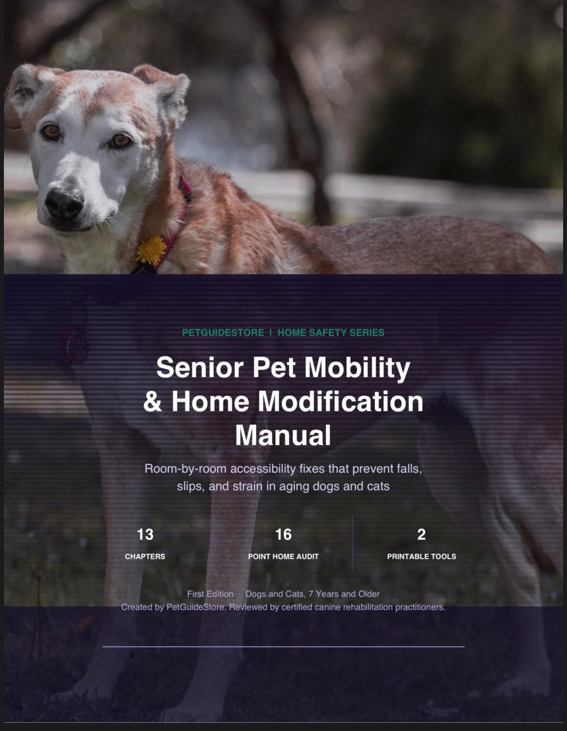 Senior Pet Mobility Complete Kit — Manual + Printable Worksheets