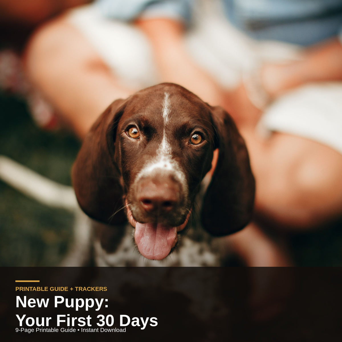 New Puppy 30-Day Guide | Potty, Crate, Vet Tracker (9-Page PDF)