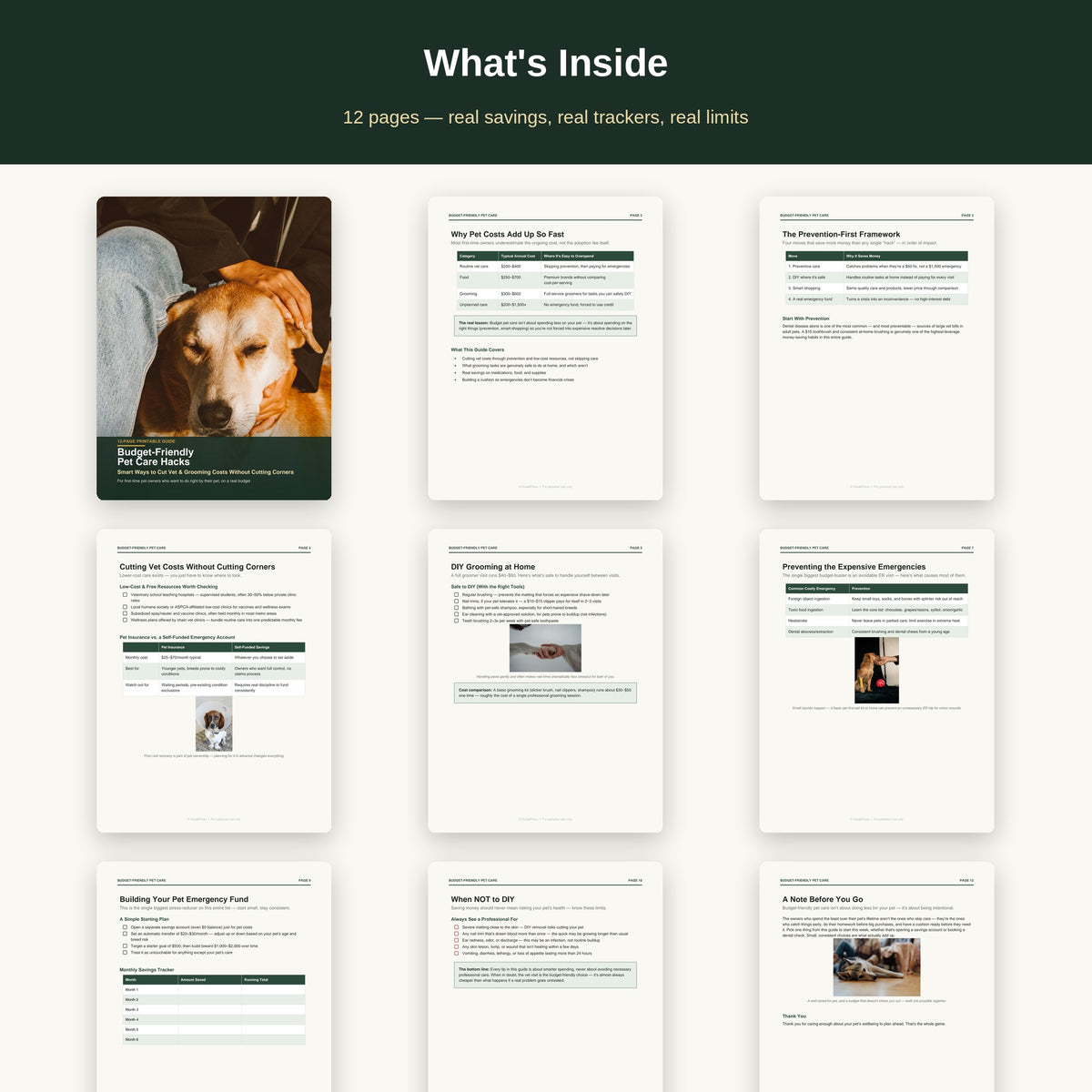 Budget Pet Care Guide Printable | Save on Vet Bills, DIY Grooming Tips, Emergency Fund Planner | 12-Page PDF Digital Download