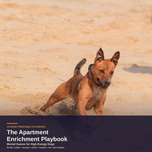 Apartment Dog Enrichment Guide | Mental Games for Working Breeds (10-Page PDF)