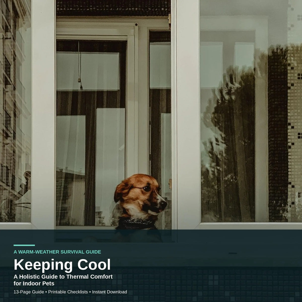Indoor Pet Cooling Guide | Dog & Cat Heat Safety, Apartment Tips (13-Page PDF)